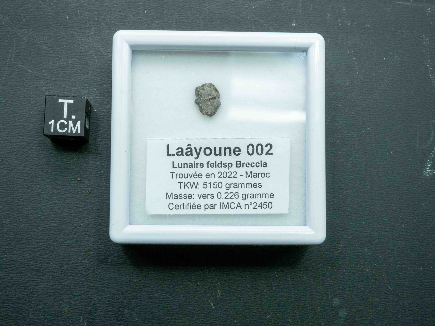 Laâyoune 002 — Lunar Meteorite (Feldspathic Breccia) (0.226 grams)