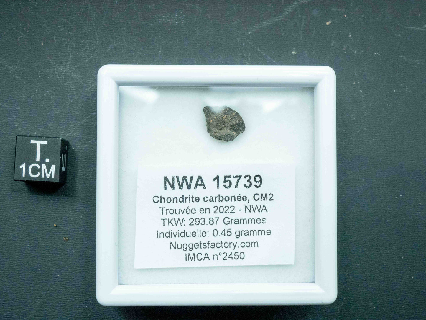 NWA 15739 — CM2 Carbonaceous Chondrite (0.45 grams)