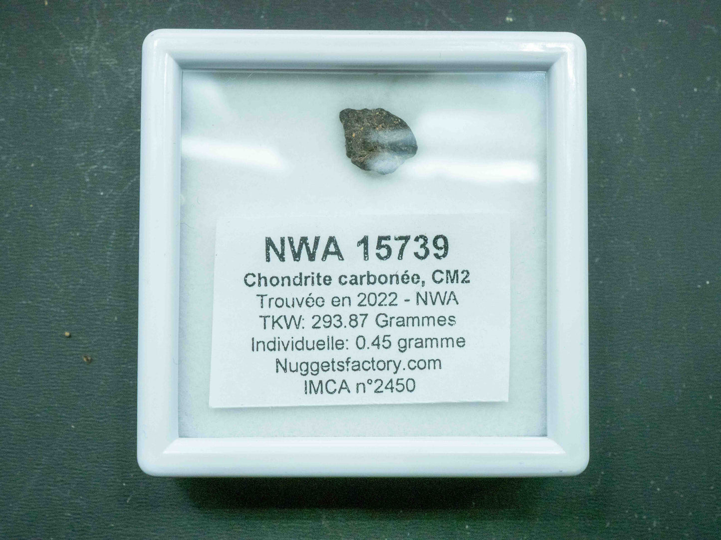 NWA 15739 — CM2 Carbonaceous Chondrite (0.45 grams)