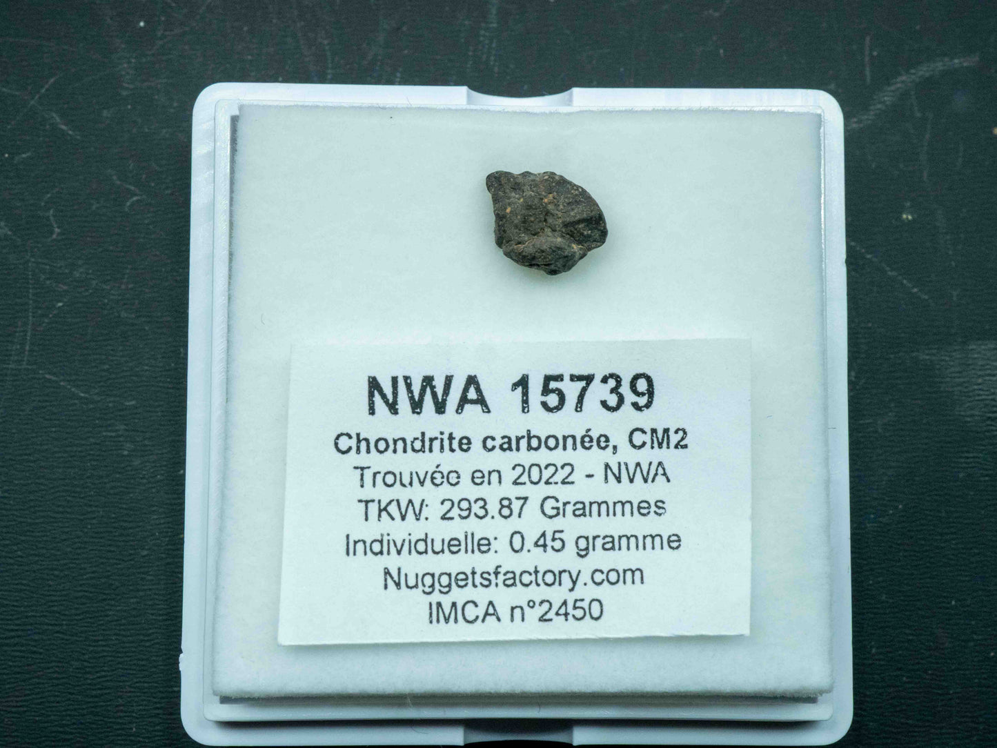 NWA 15739 — CM2 Carbonaceous Chondrite (0.45 grams)