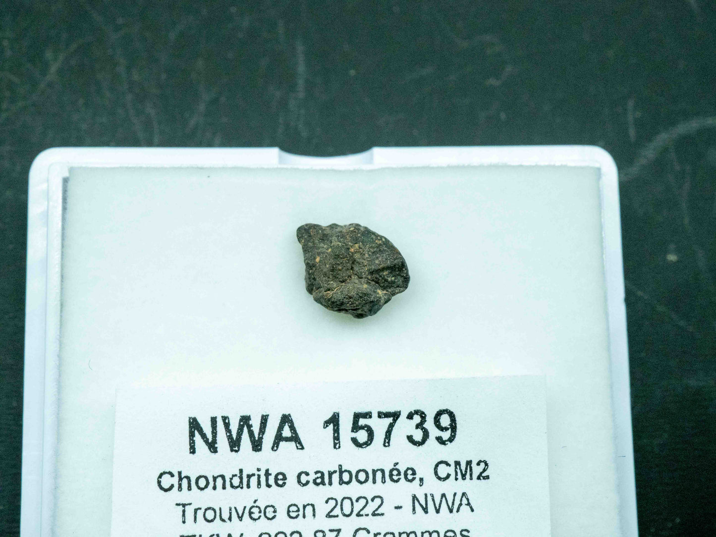 NWA 15739 — CM2 Carbonaceous Chondrite (0.45 grams)