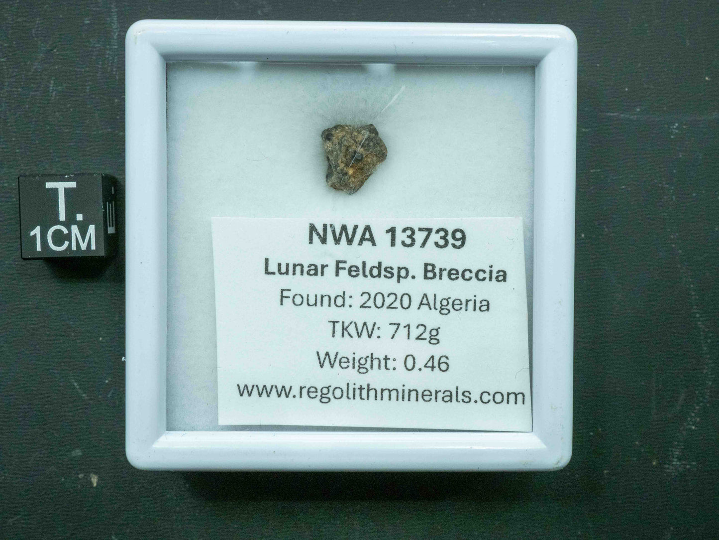 NWA 13937 — Lunar Meteorite (Feldspathic Breccia) (0.46g)