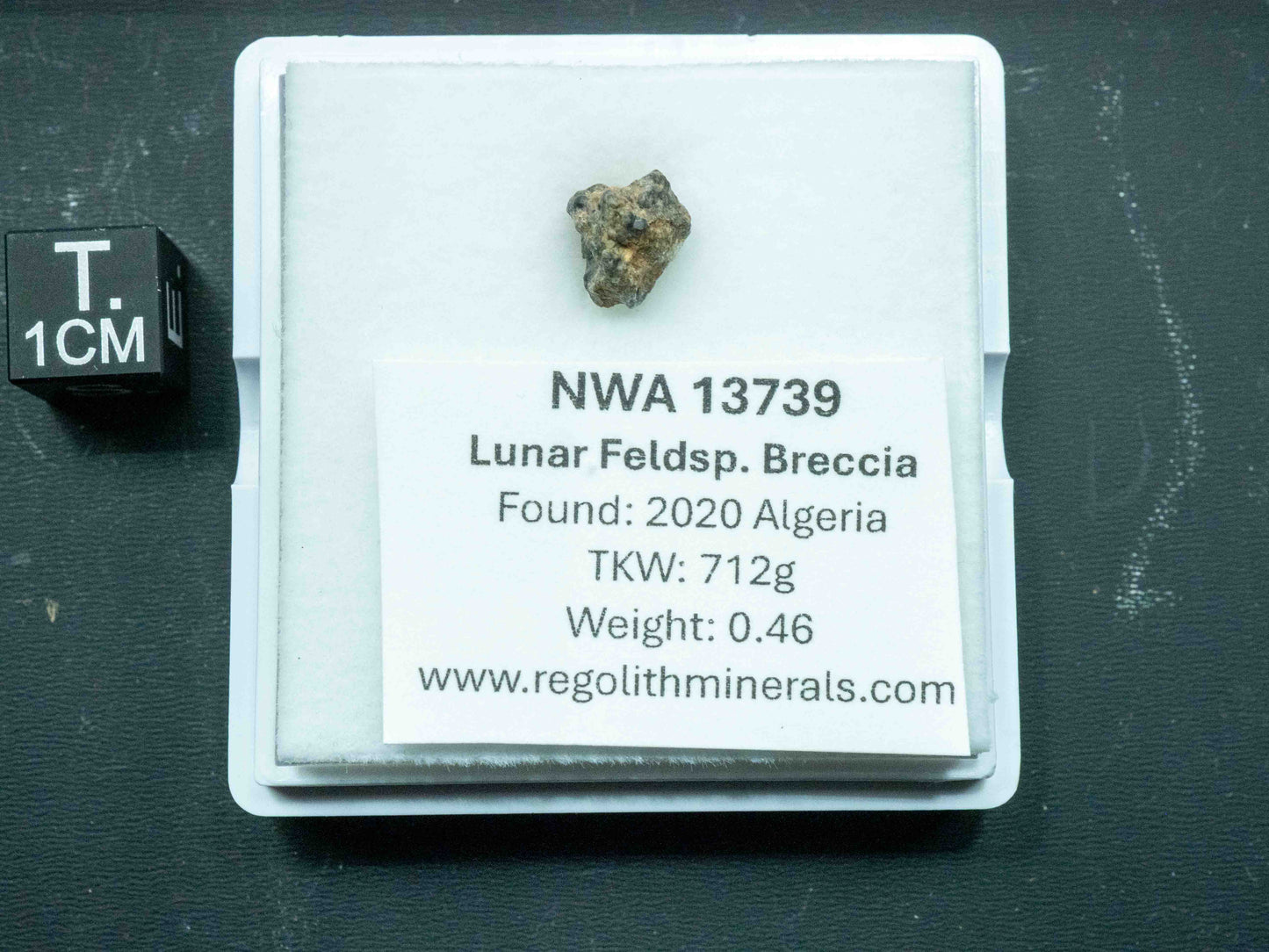NWA 13937 — Lunar Meteorite (Feldspathic Breccia) (0.46g)
