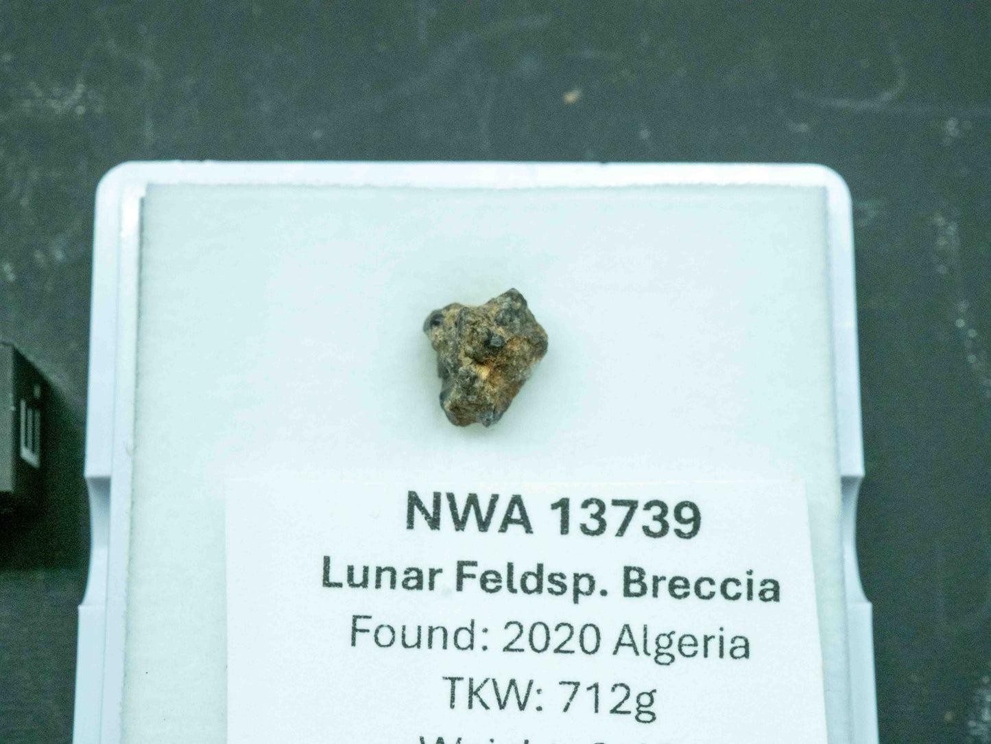 NWA 13937 — Lunar Meteorite (Feldspathic Breccia) (0.46g)