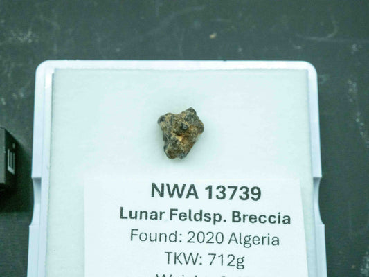 NWA 13937 — Lunar Meteorite (Feldspathic Breccia) (0.46g)