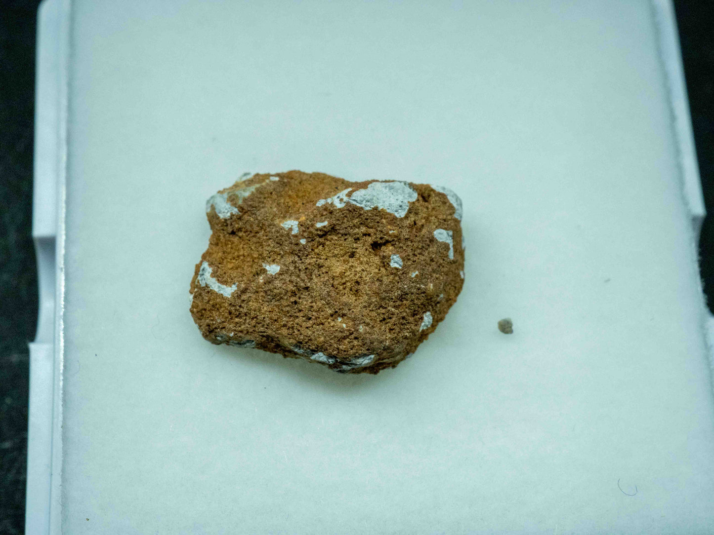Gadamis 005 - Lunar Meteorite (Ferroan Anorthosite, Cataclastic) (1.8 grams)