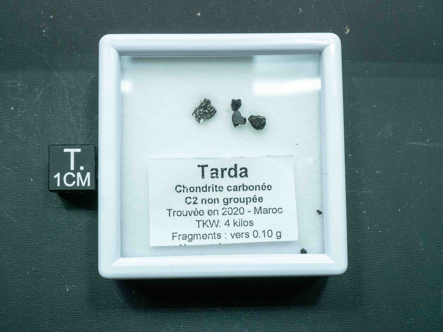 Tarda — C2 Ungrouped Carbonaceous Chondrite (0.10 grams)