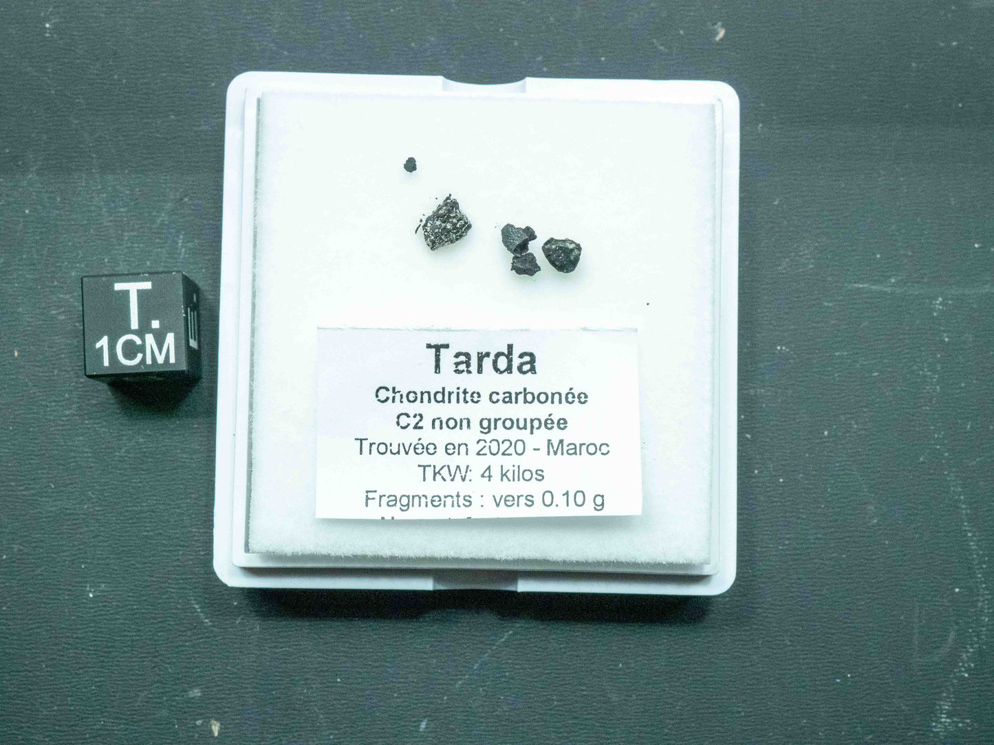 Tarda — C2 Ungrouped Carbonaceous Chondrite (0.10 grams)