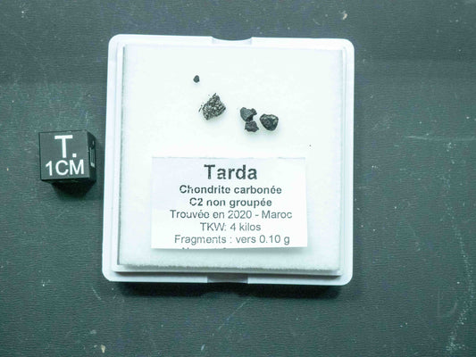 Tarda — C2 Ungrouped Carbonaceous Chondrite (0.10 grams)