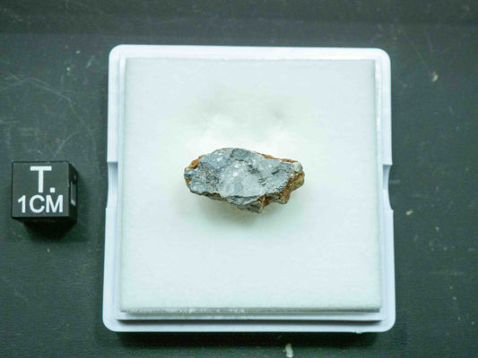 Gadamis 005 - Lunar Meteorite (Ferroan Anorthosite, Cataclastic) (