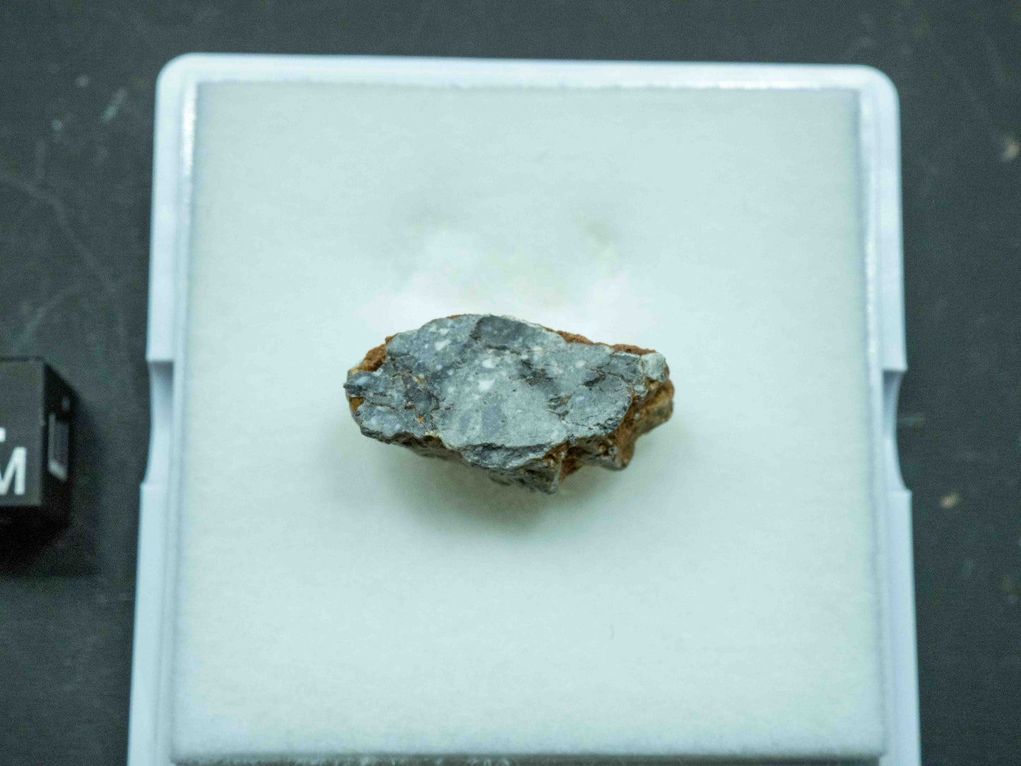 Gadamis 005 - Lunar Meteorite (Ferroan Anorthosite, Cataclastic) (