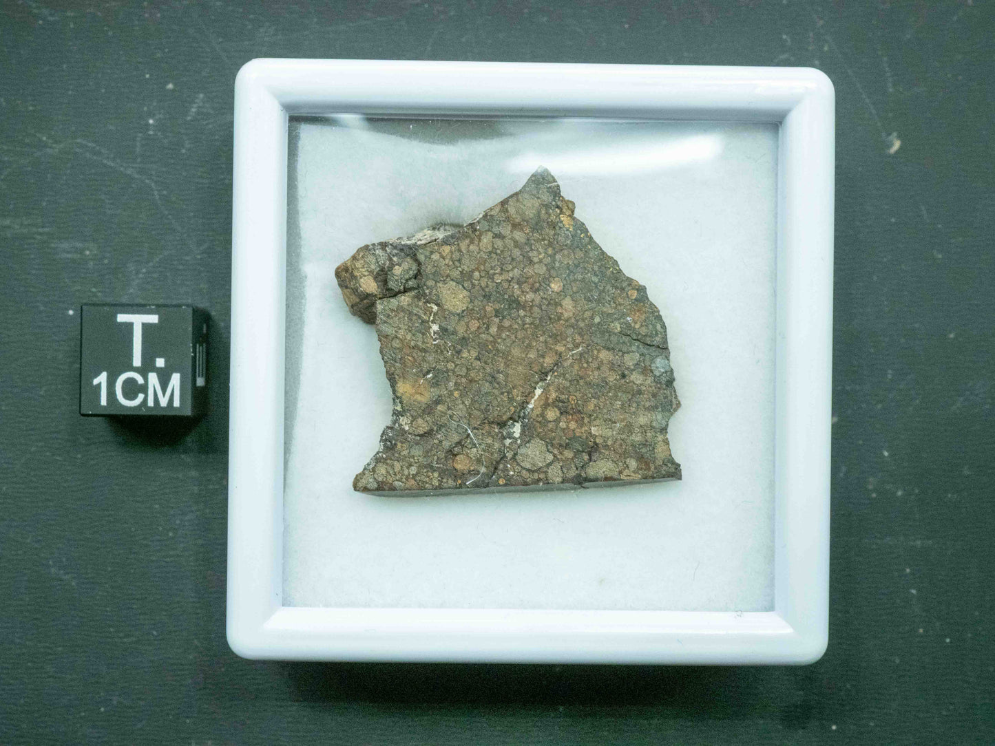 Northwest Africa XXXX - L3 Ordinary Chondrite (10.5g)