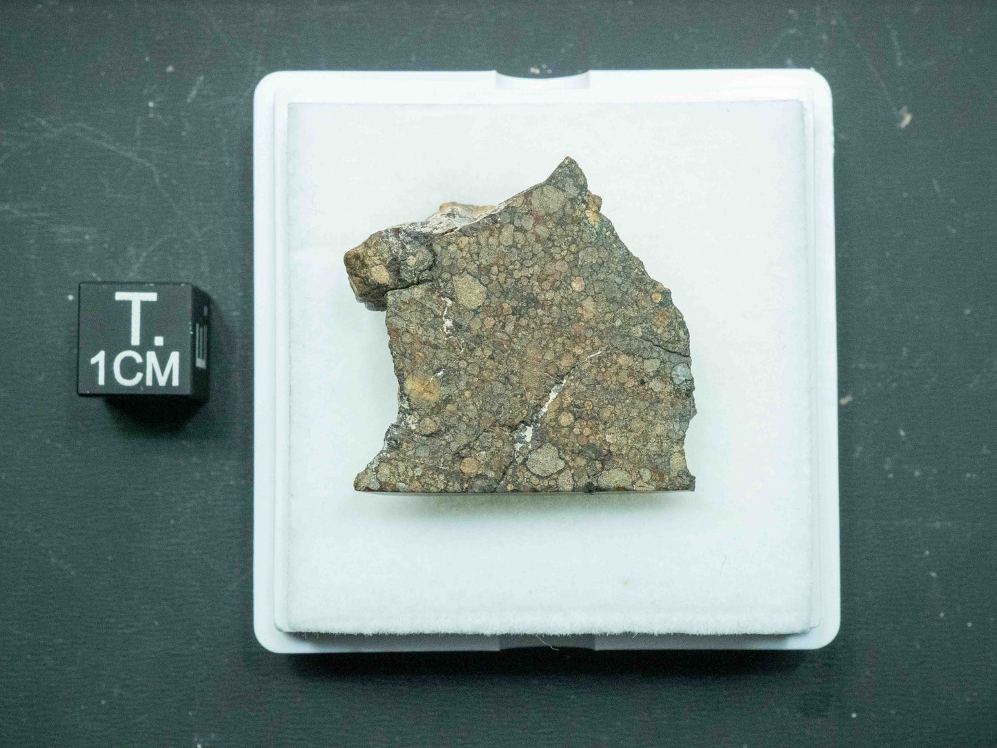 Northwest Africa XXXX - L3 Ordinary Chondrite (10.5g)