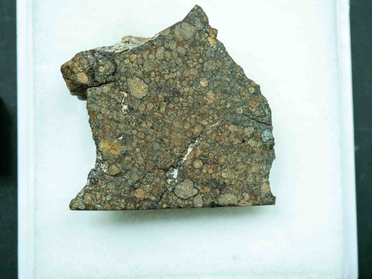 Northwest Africa XXXX - L3 Ordinary Chondrite (10.5g)