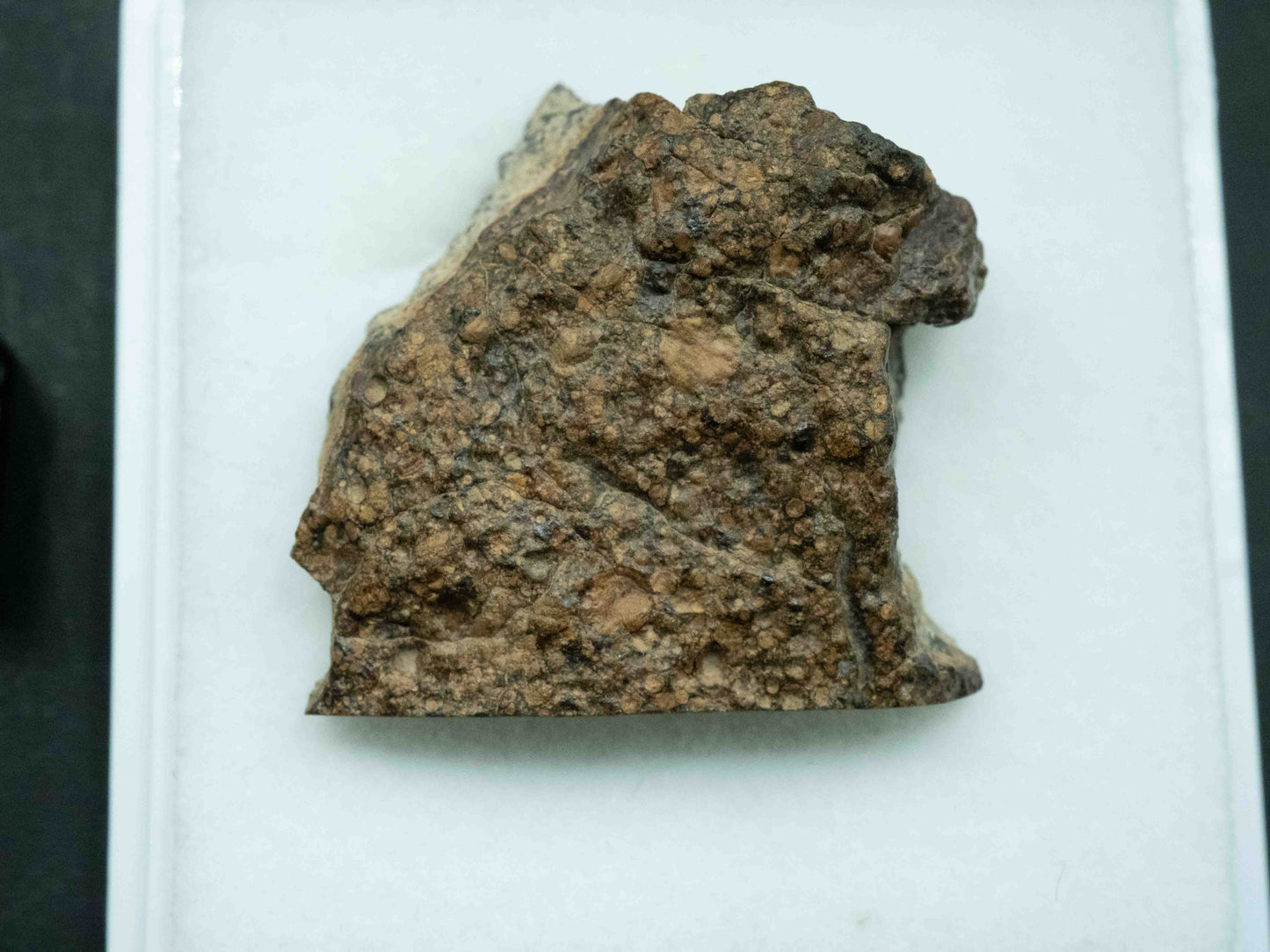 Northwest Africa XXXX - L3 Ordinary Chondrite (10.5g)
