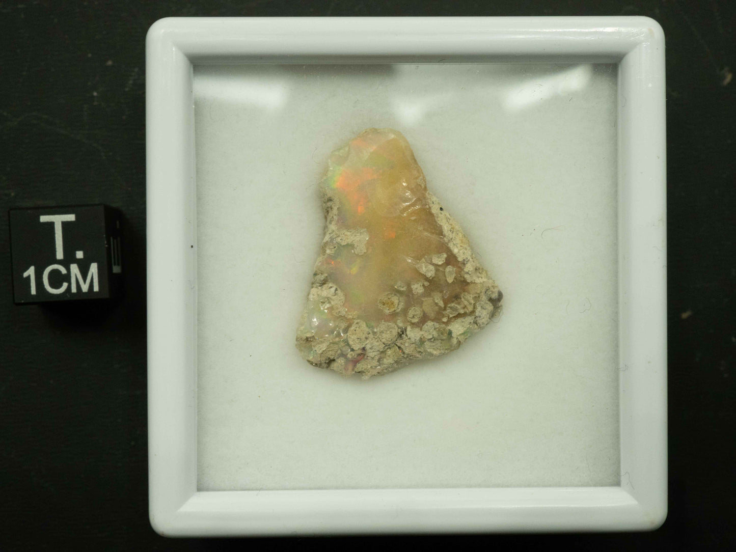 Welo Opal (Ethiopia) (2.30 grams)