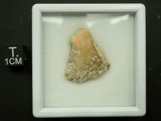 Welo Opal (Ethiopia) (2.30 grams)