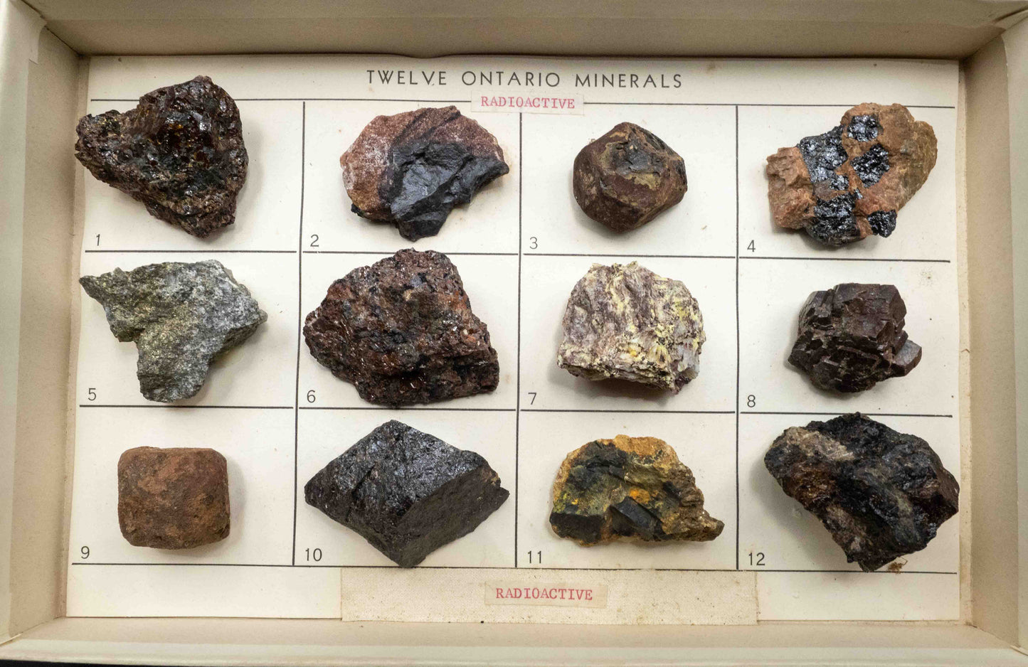 Twelve Ontario Minerals — Vintage Radioactive Mineral Teaching Set