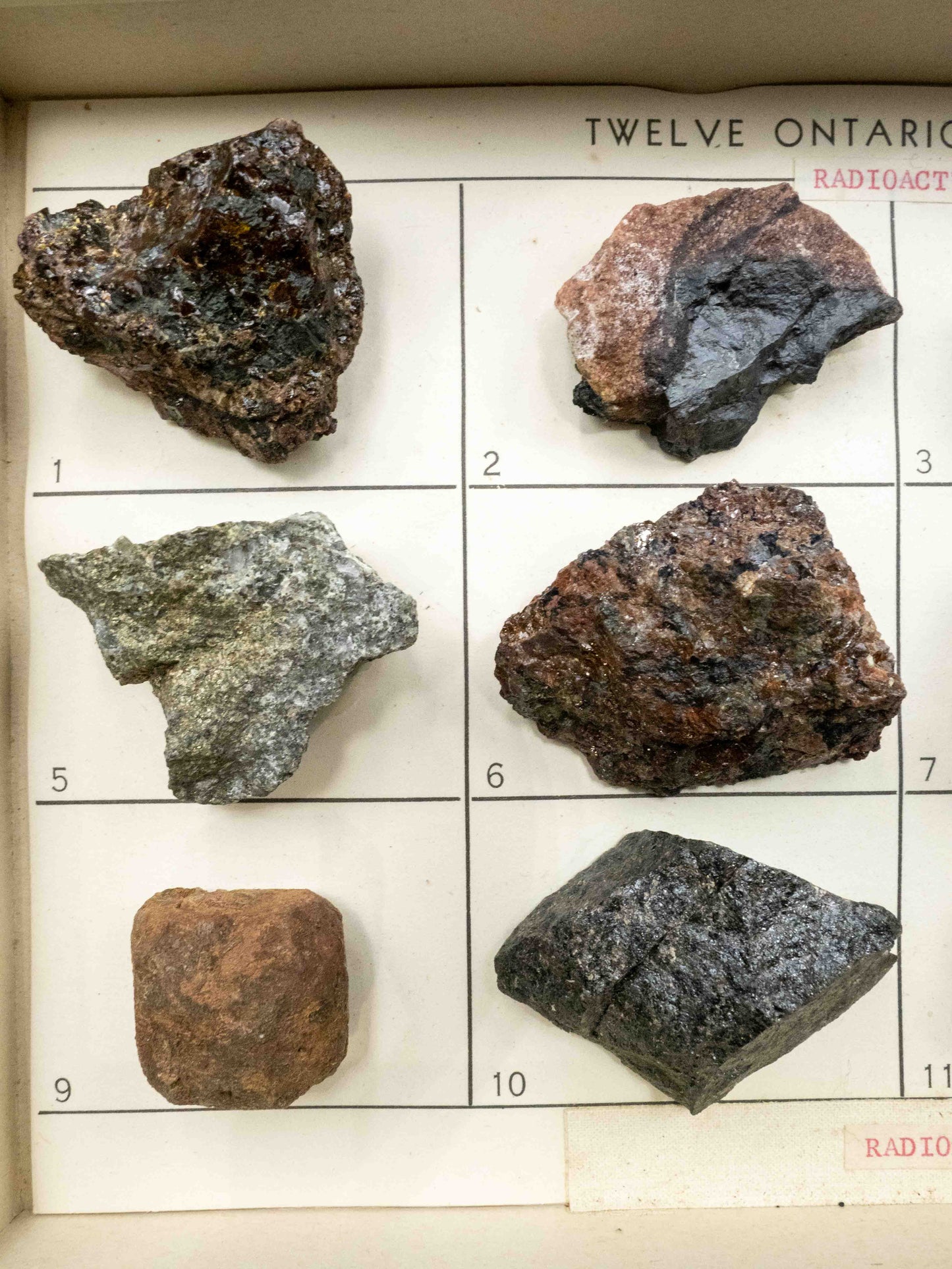 Twelve Ontario Minerals — Vintage Radioactive Mineral Teaching Set