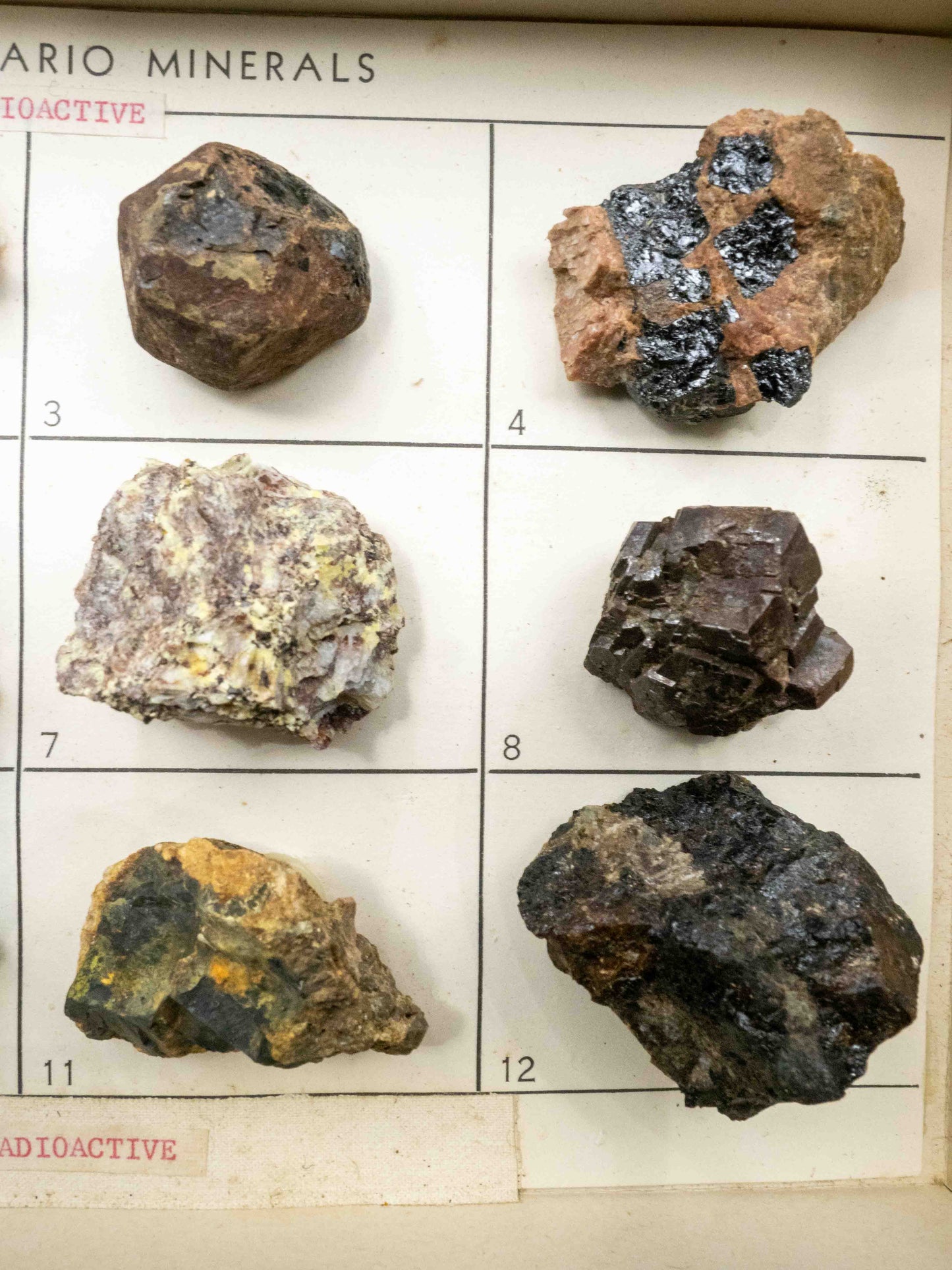 Twelve Ontario Minerals — Vintage Radioactive Mineral Teaching Set