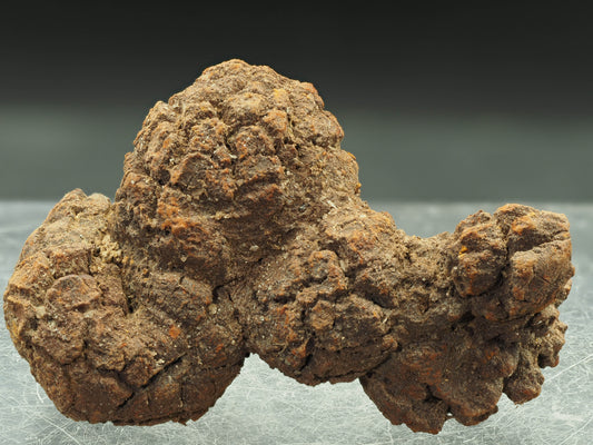 Coprolite (Fossilized Turtle Dung) - Besiboko, Mahajanga, Madagascar