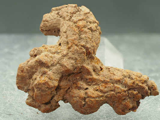 Coprolite (Fossilized Turtle Dung) - Besiboko, Mahajanga, Madagascar