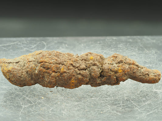 Coprolite (Fossilized Turtle Dung) - Besiboko, Mahajanga, Madagascar