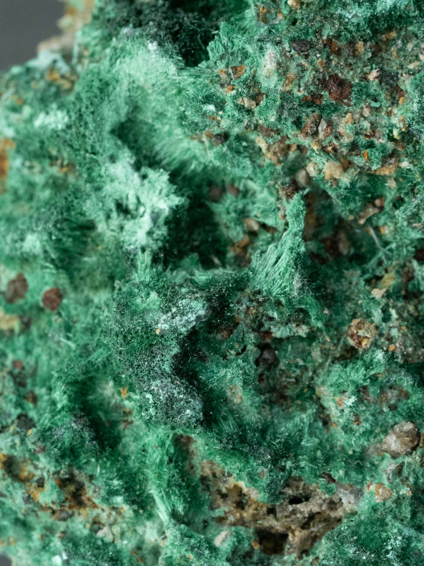 Fibrous Malachite - Mashamba West Mine, Sicomines copper-cobalt project, Mutshatsha, Lualaba, DR Congo