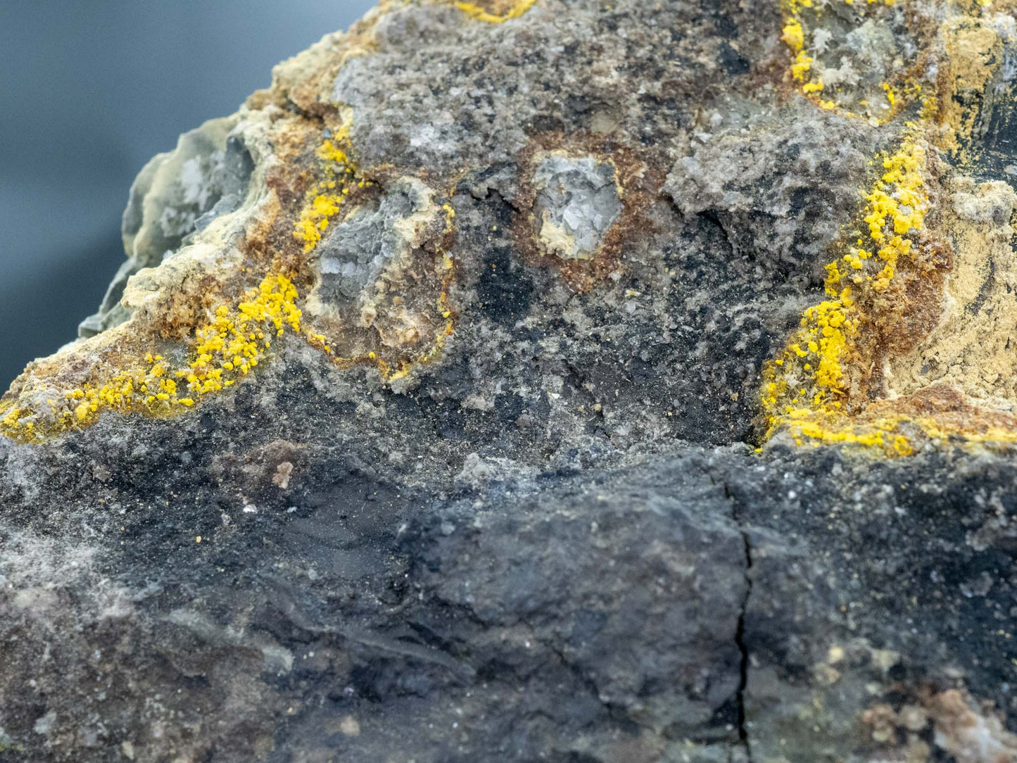 Uraninite, Carnotite, Tyuyamunite - Mi Vida Mine, Lisbon Valley Mining District, San Juan County, Utah, USA