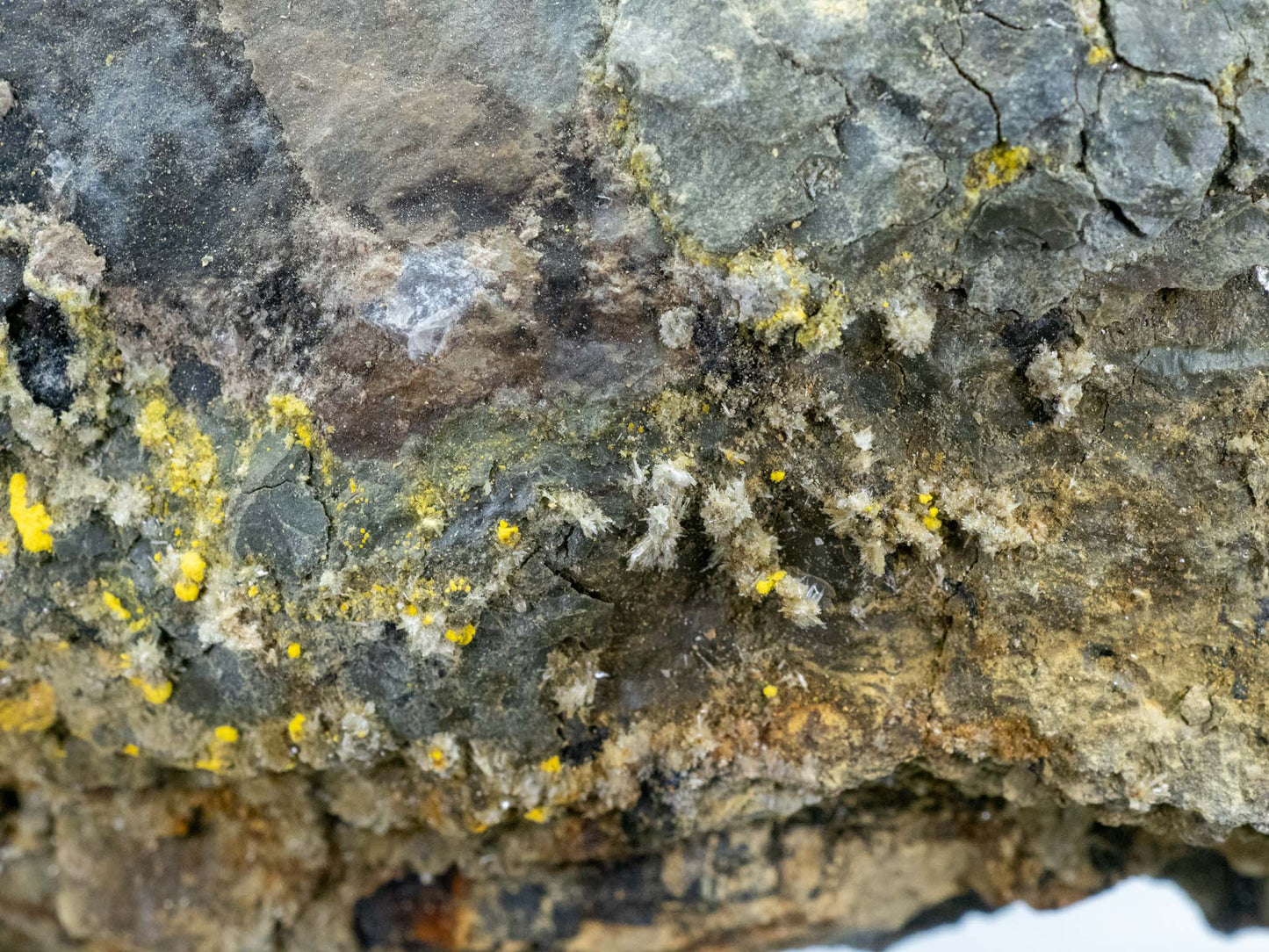 Uraninite, Carnotite, Tyuyamunite - Mi Vida Mine, Lisbon Valley Mining District, San Juan County, Utah, USA