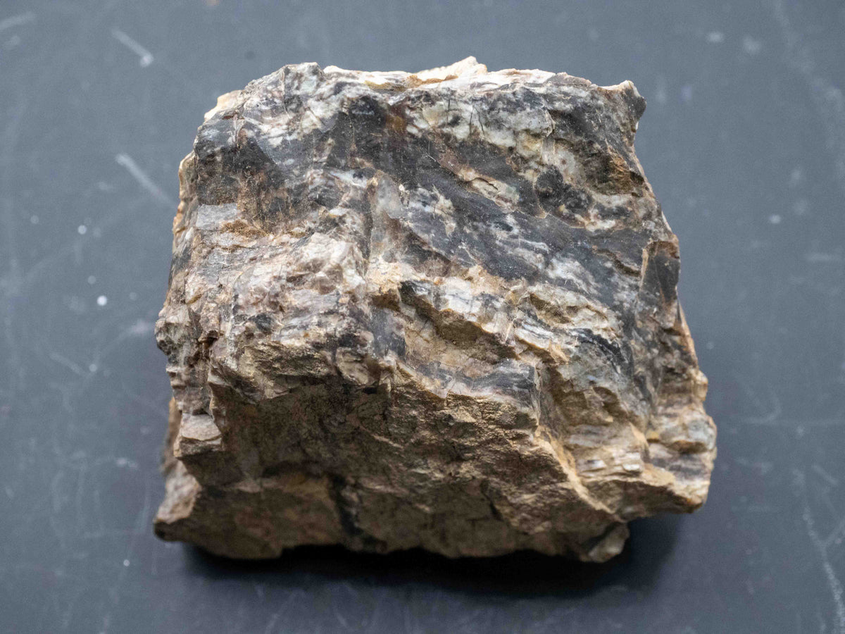 Fluorescent Petrified Wood - Anderson Uranium Mine, Yavapai County, Arizona, USA