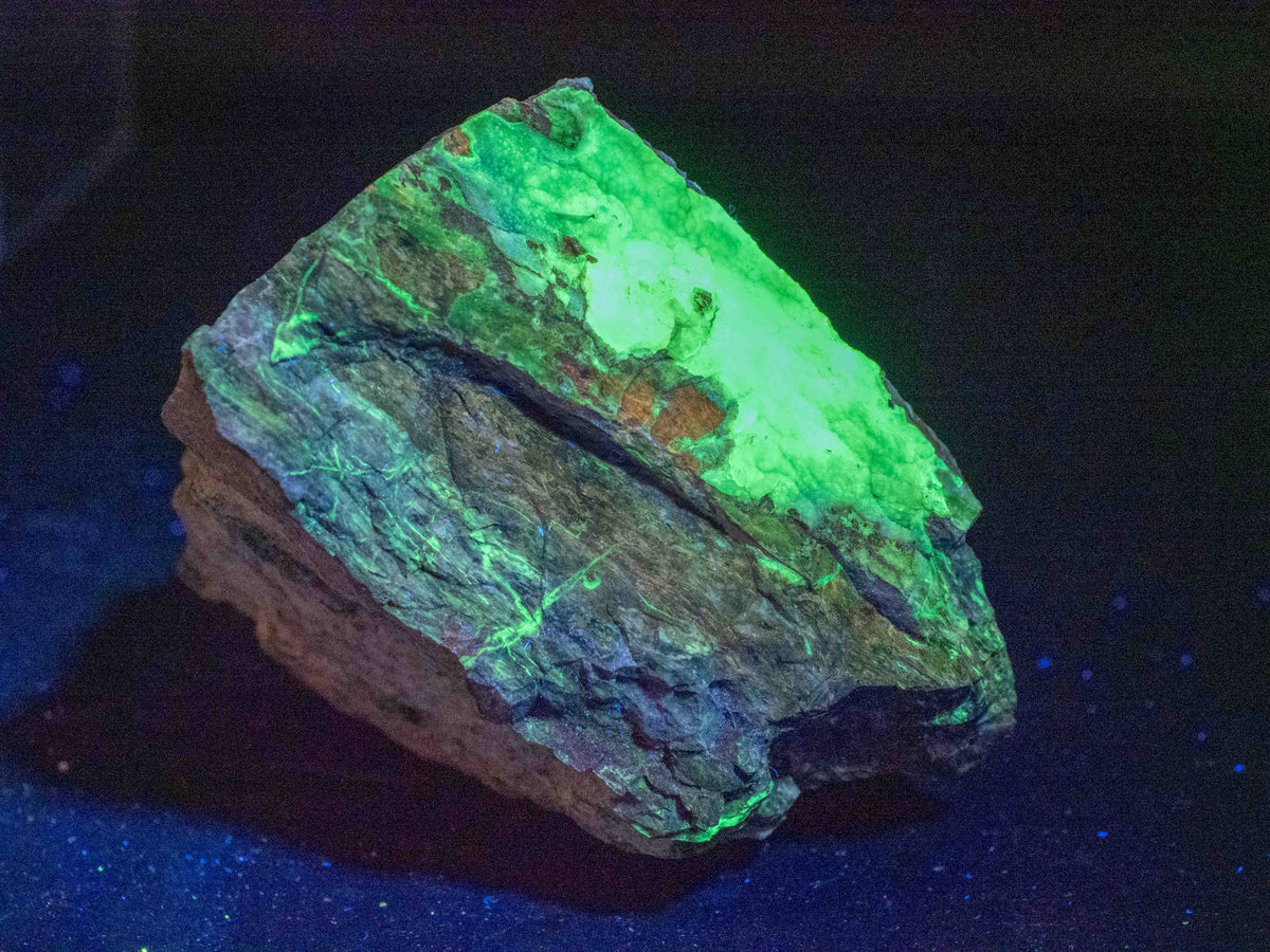Fluorescent Petrified Wood - Anderson Uranium Mine, Yavapai County, Arizona, USA