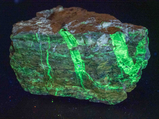 Fluorescent Petrified Wood - Anderson Uranium Mine, Yavapai County, Arizona, USA