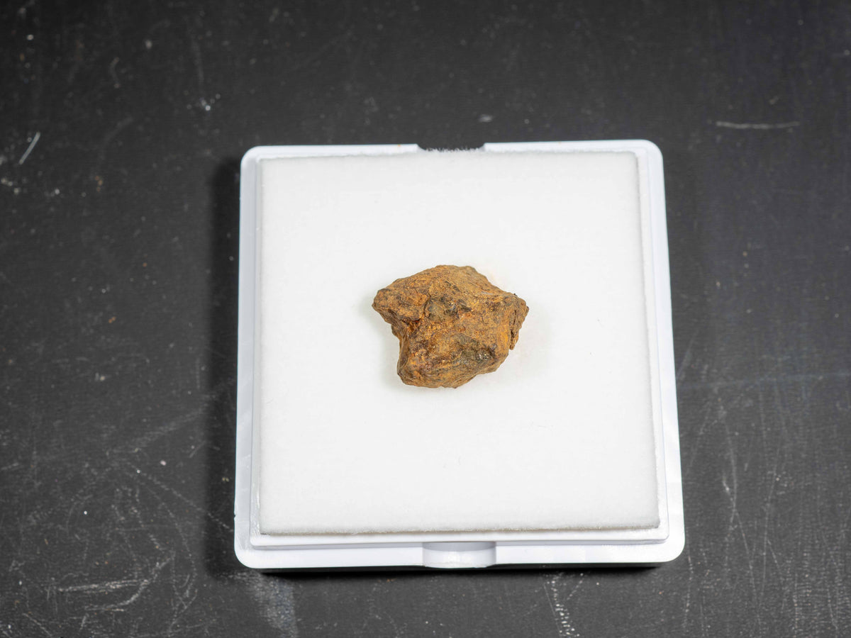 Sericho - Pallasite, Main Group Individual Specimen