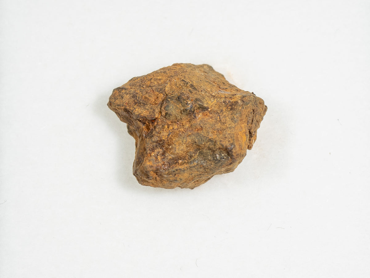 Sericho - Pallasite, Main Group Individual Specimen