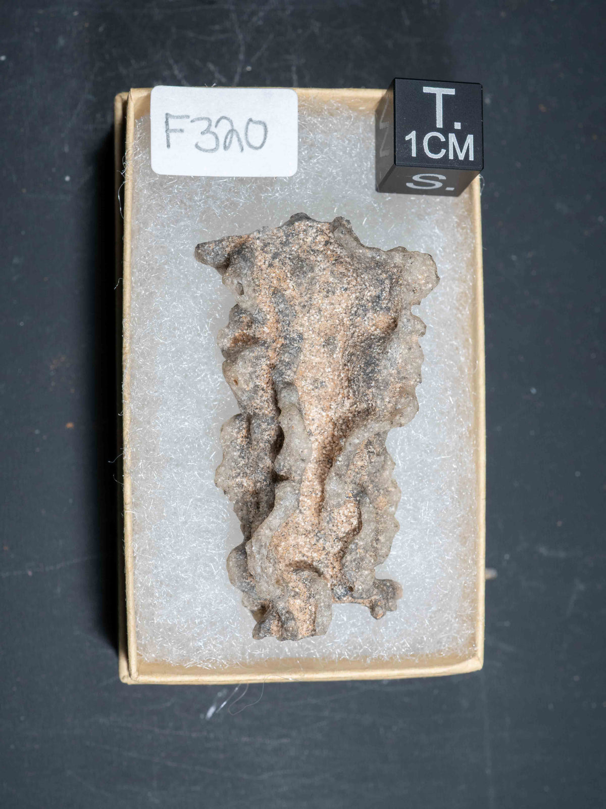 Fulgurite - Sahara Desert, Northern Africa