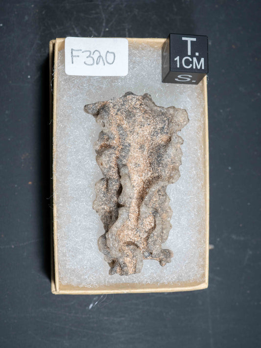 Fulgurite - Sahara Desert, Northern Africa