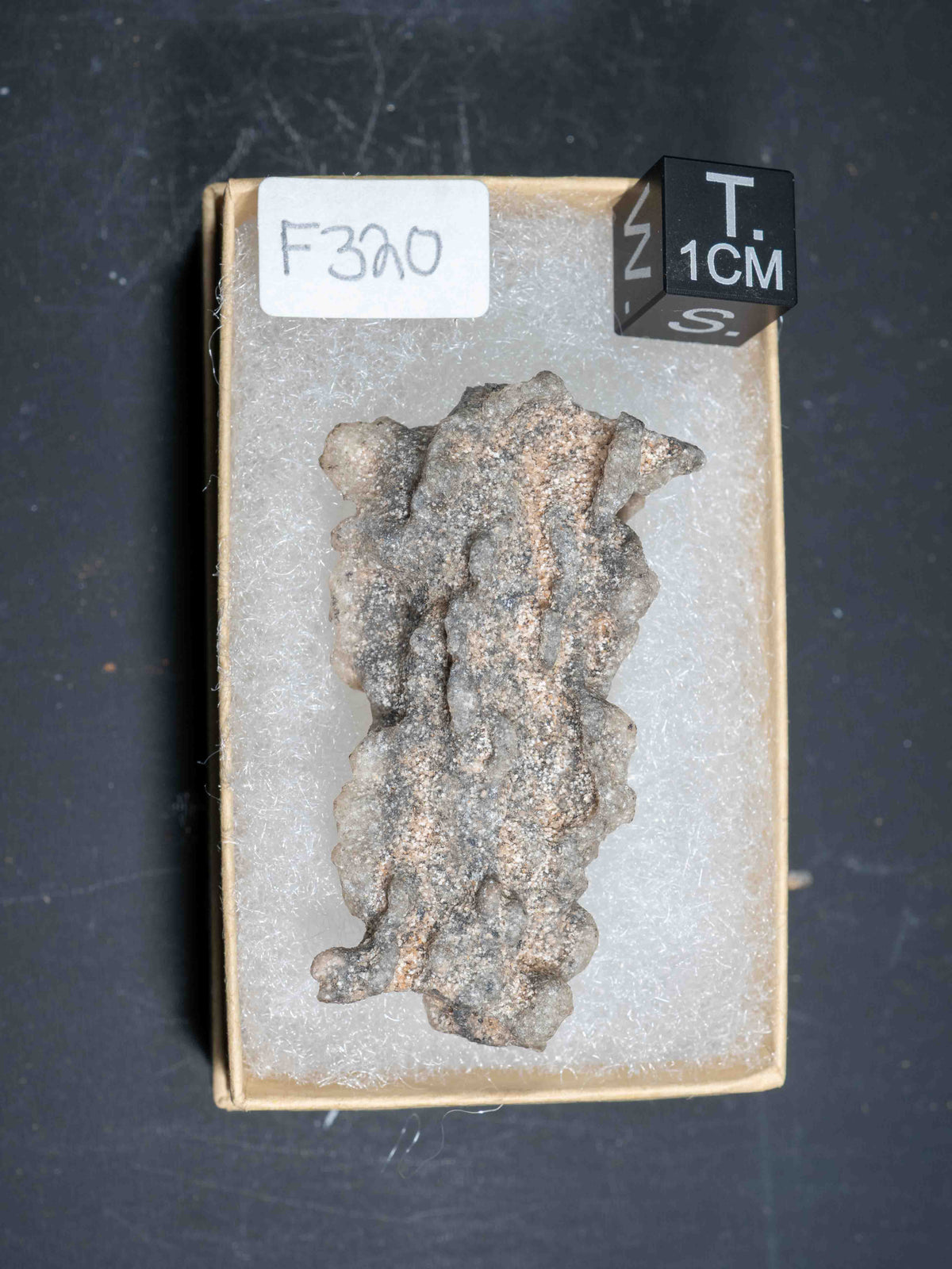 Fulgurite - Sahara Desert, Northern Africa