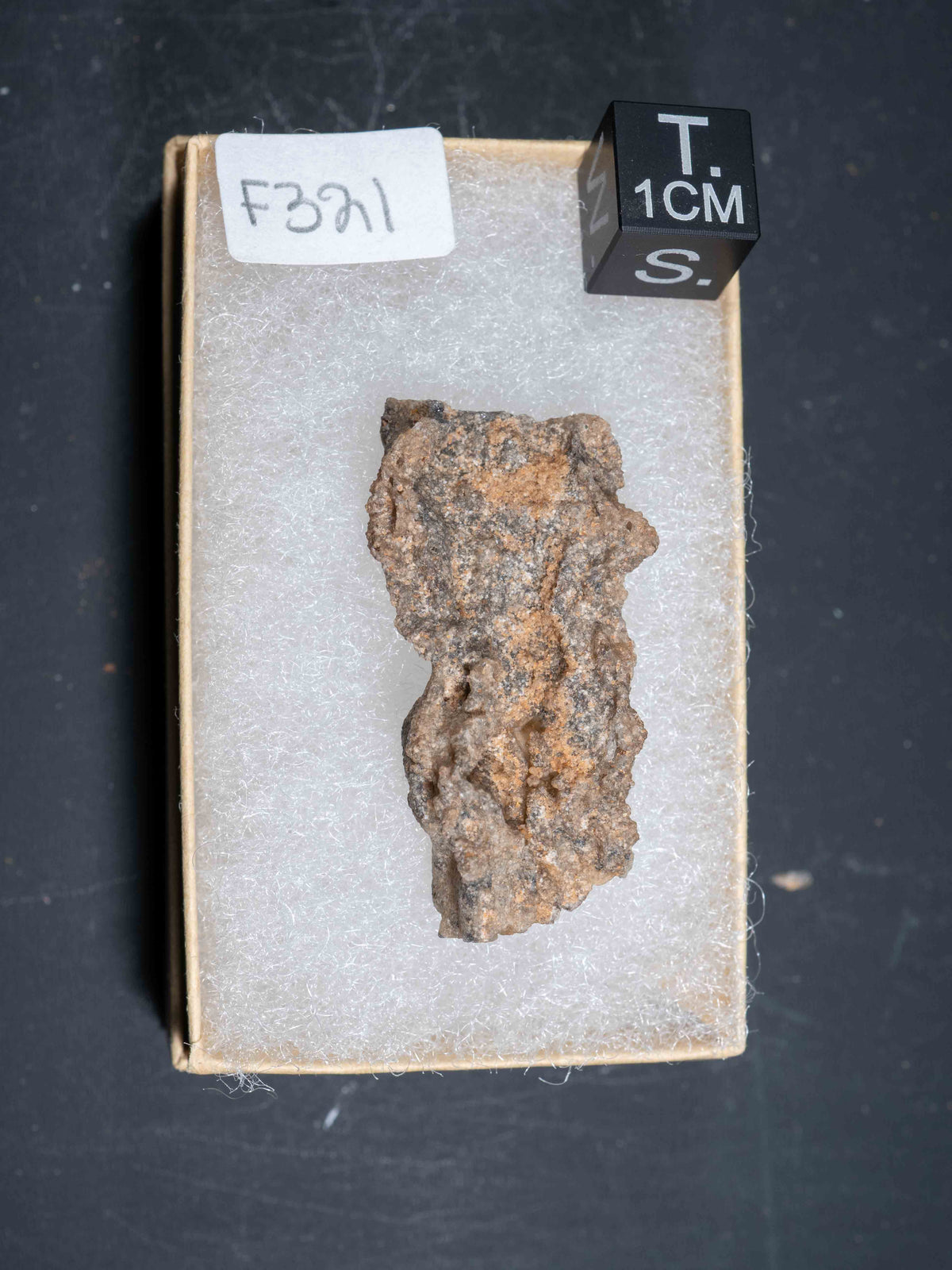 Fulgurite - Sahara Desert, Northern Africa