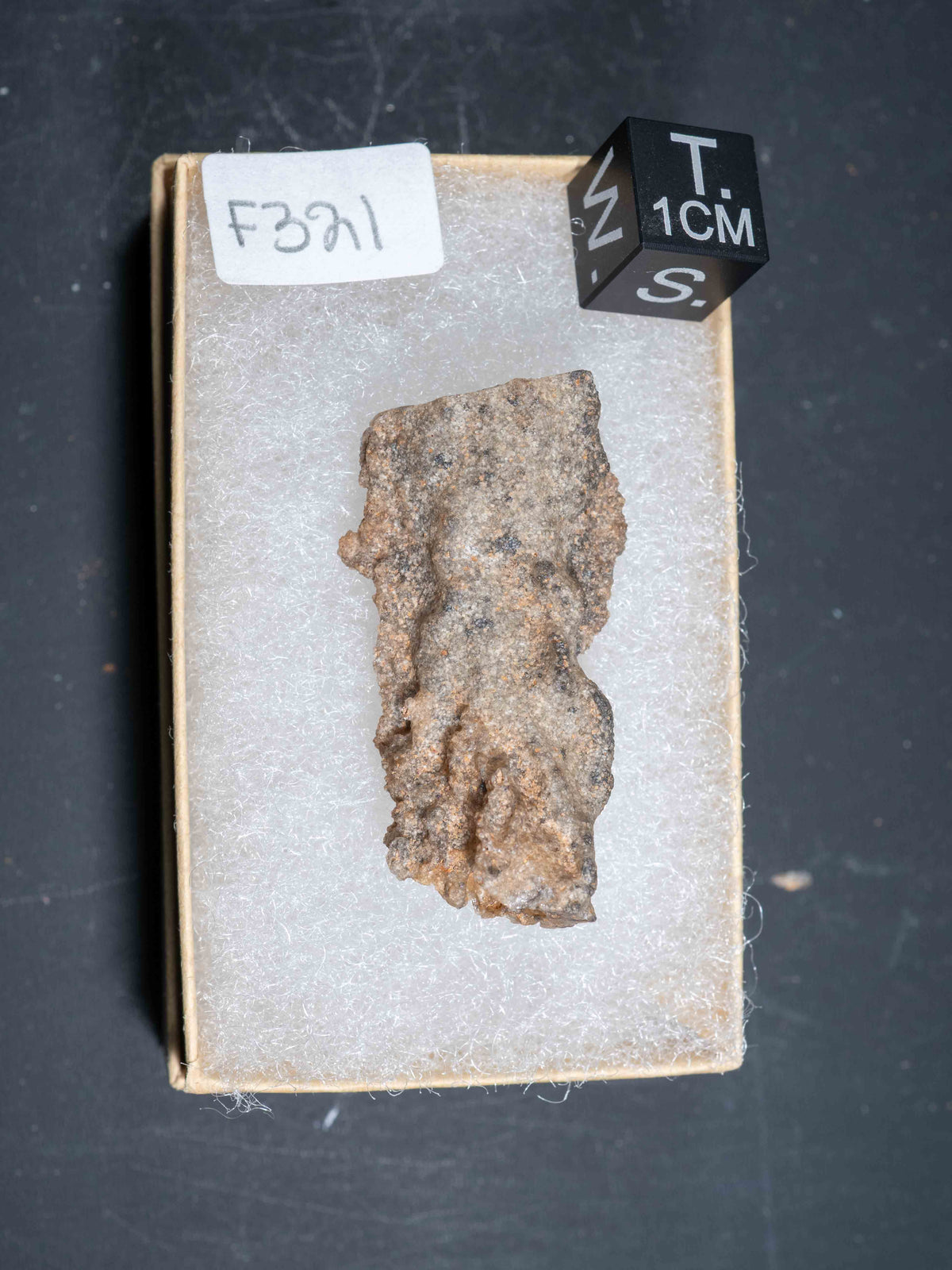 Fulgurite - Sahara Desert, Northern Africa