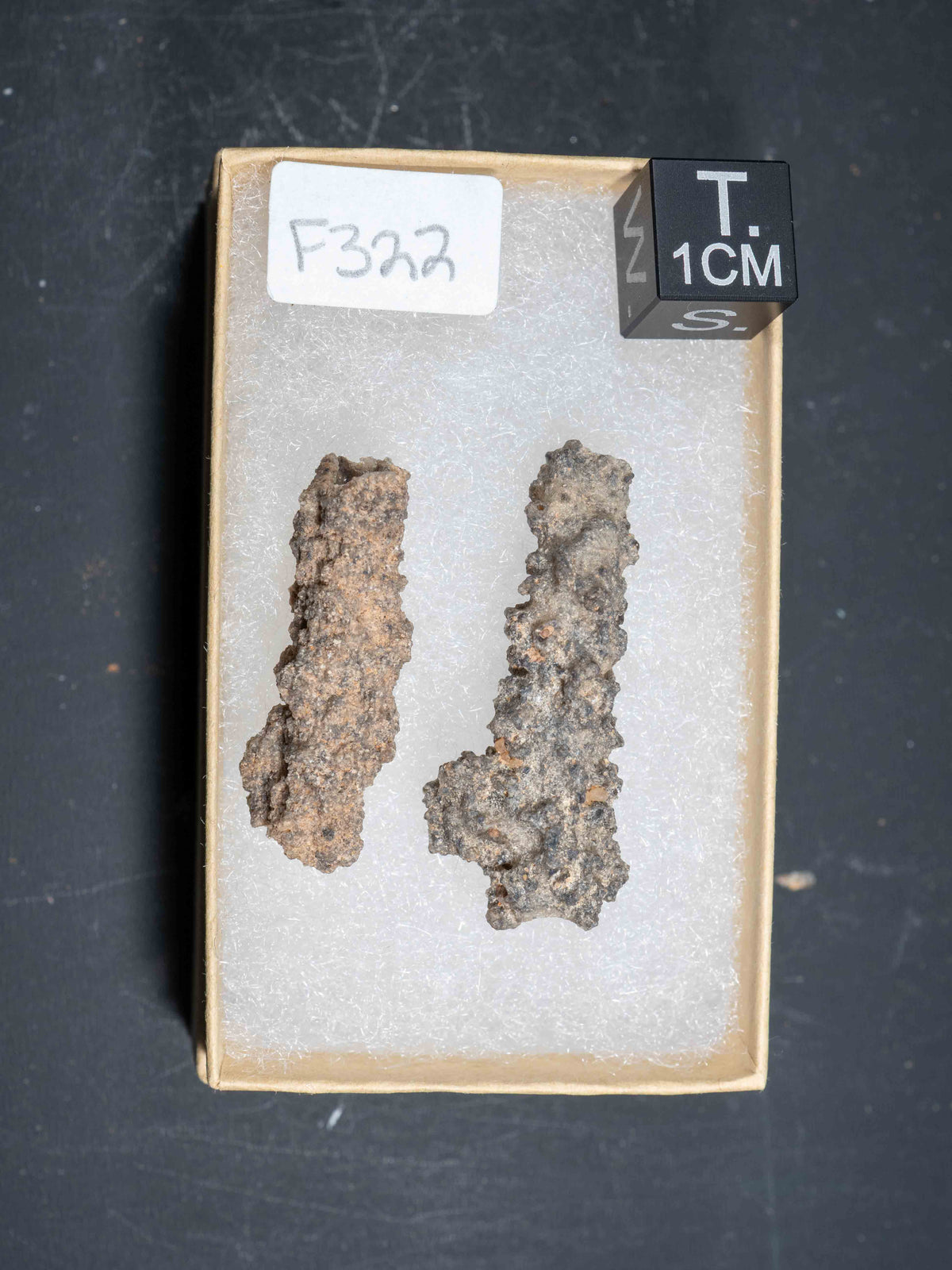 Fulgurite - Sahara Desert, Northern Africa