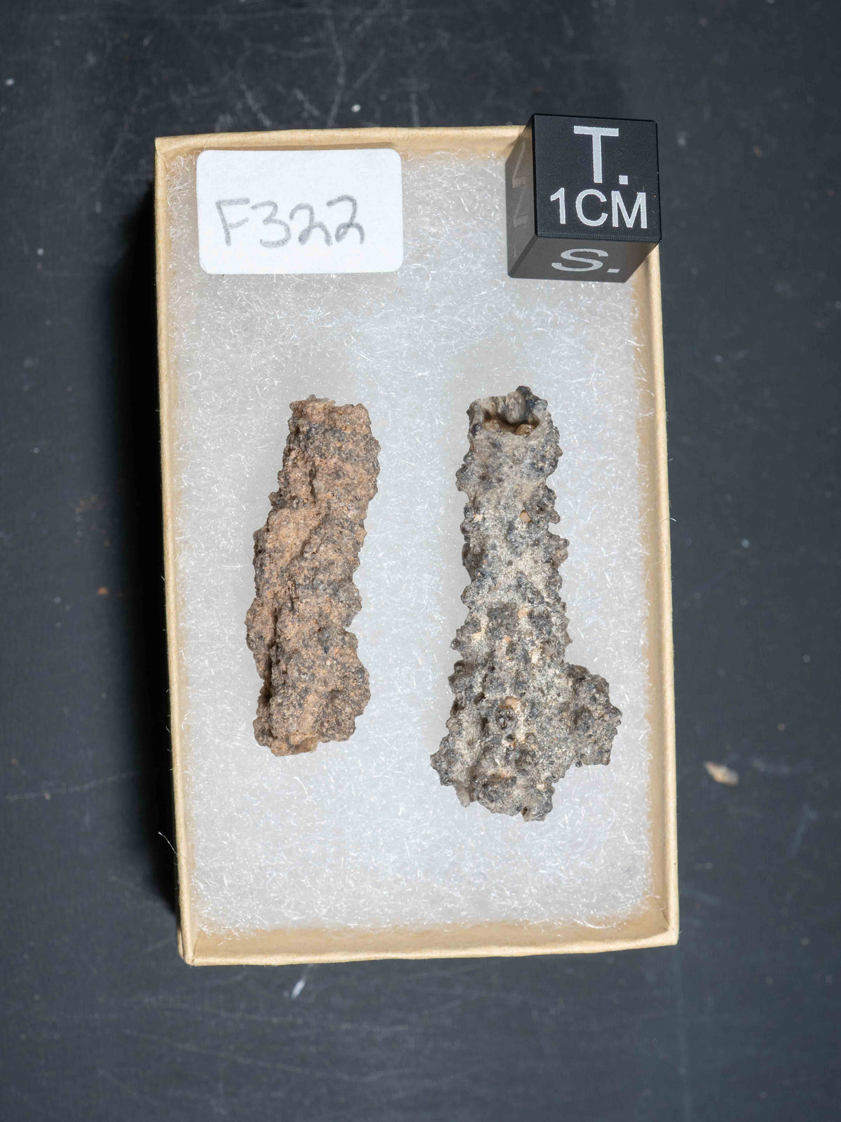 Fulgurite - Sahara Desert, Northern Africa