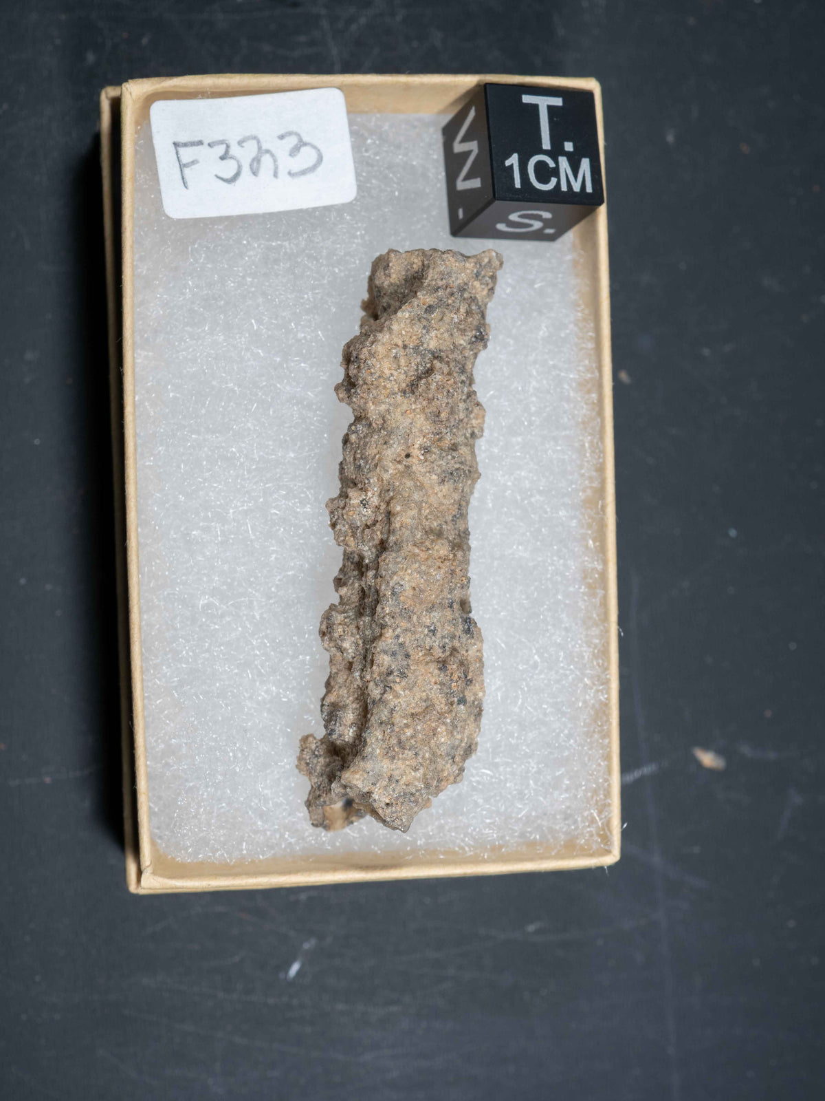 Fulgurite - Sahara Desert, Northern Africa