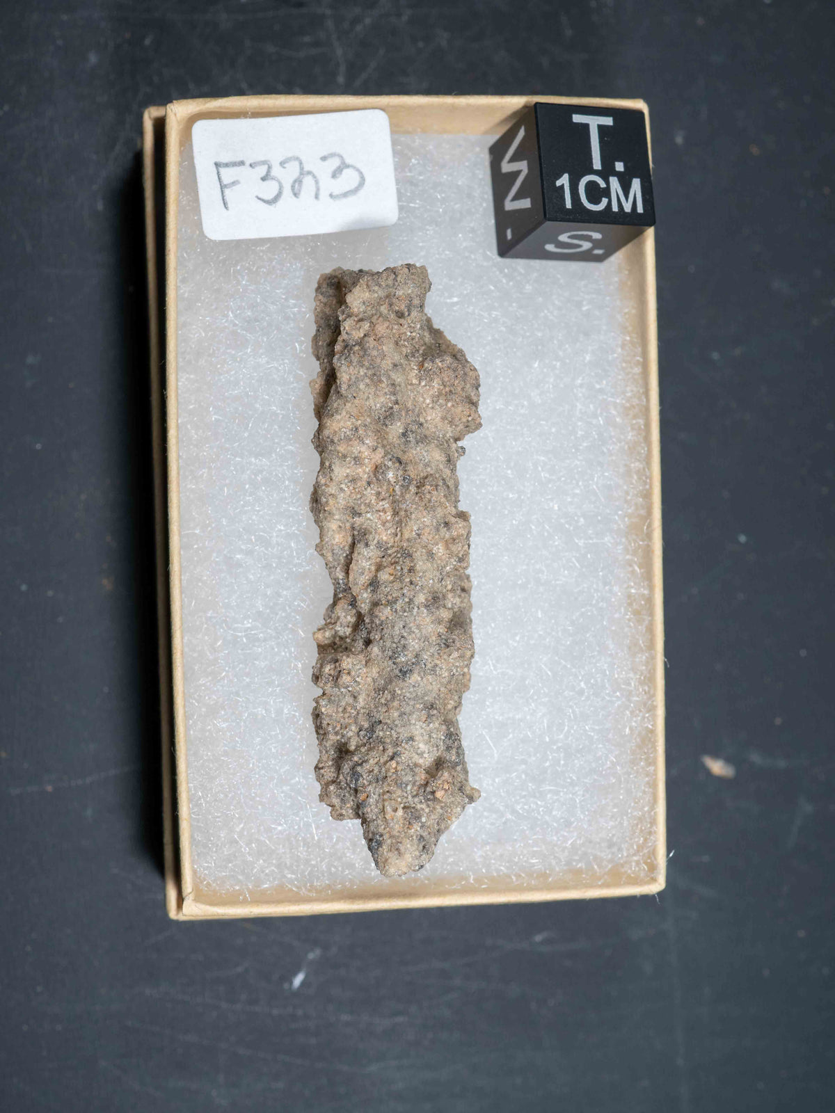 Fulgurite - Sahara Desert, Northern Africa