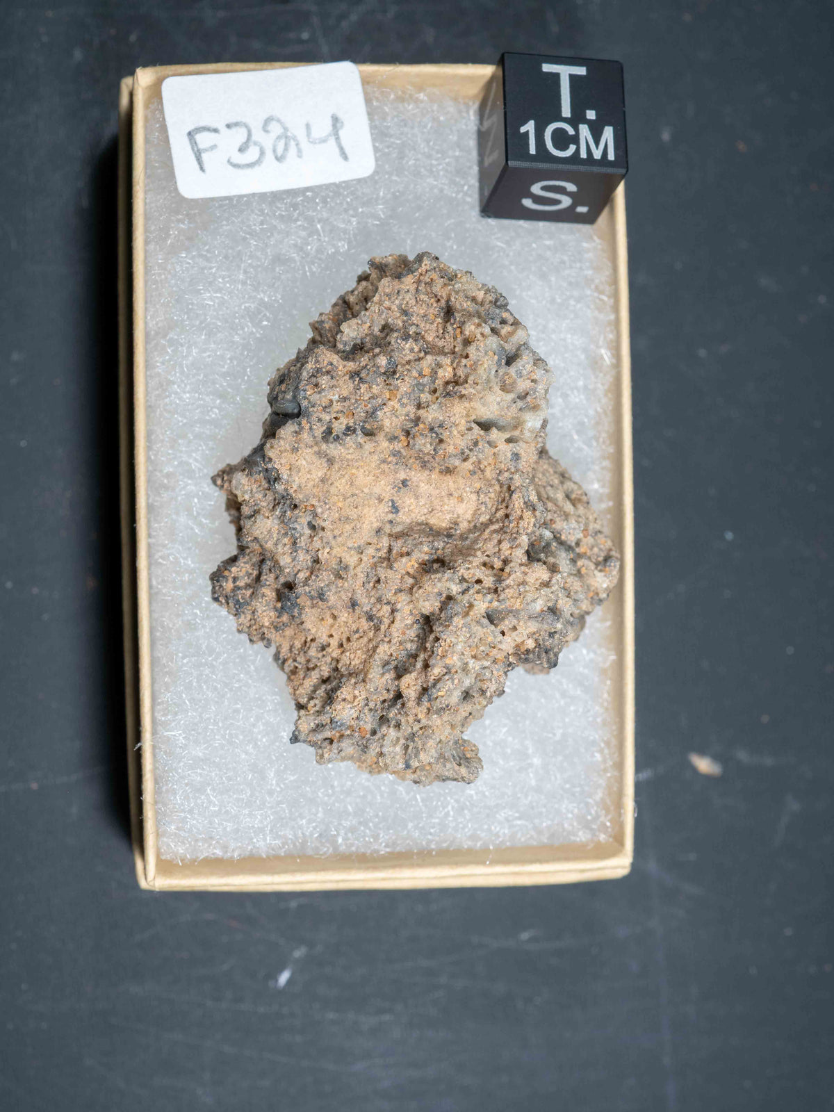 Fulgurite - Sahara Desert, Northern Africa