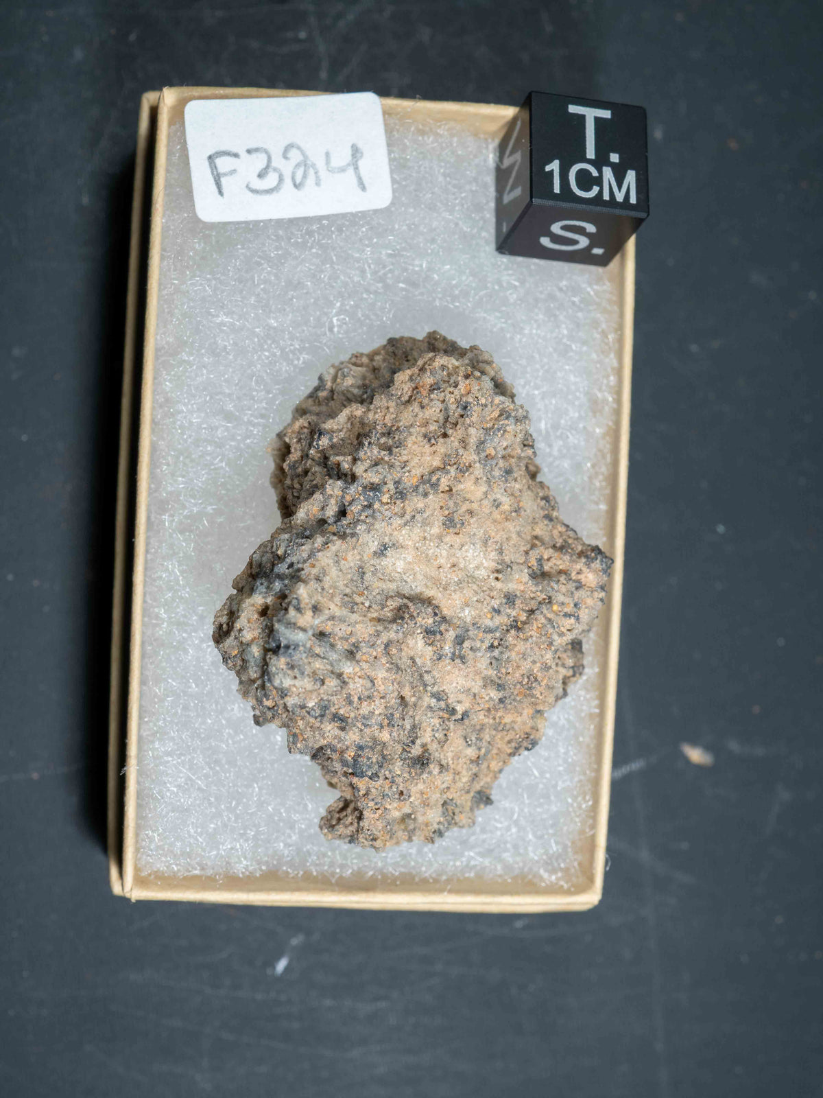 Fulgurite - Sahara Desert, Northern Africa
