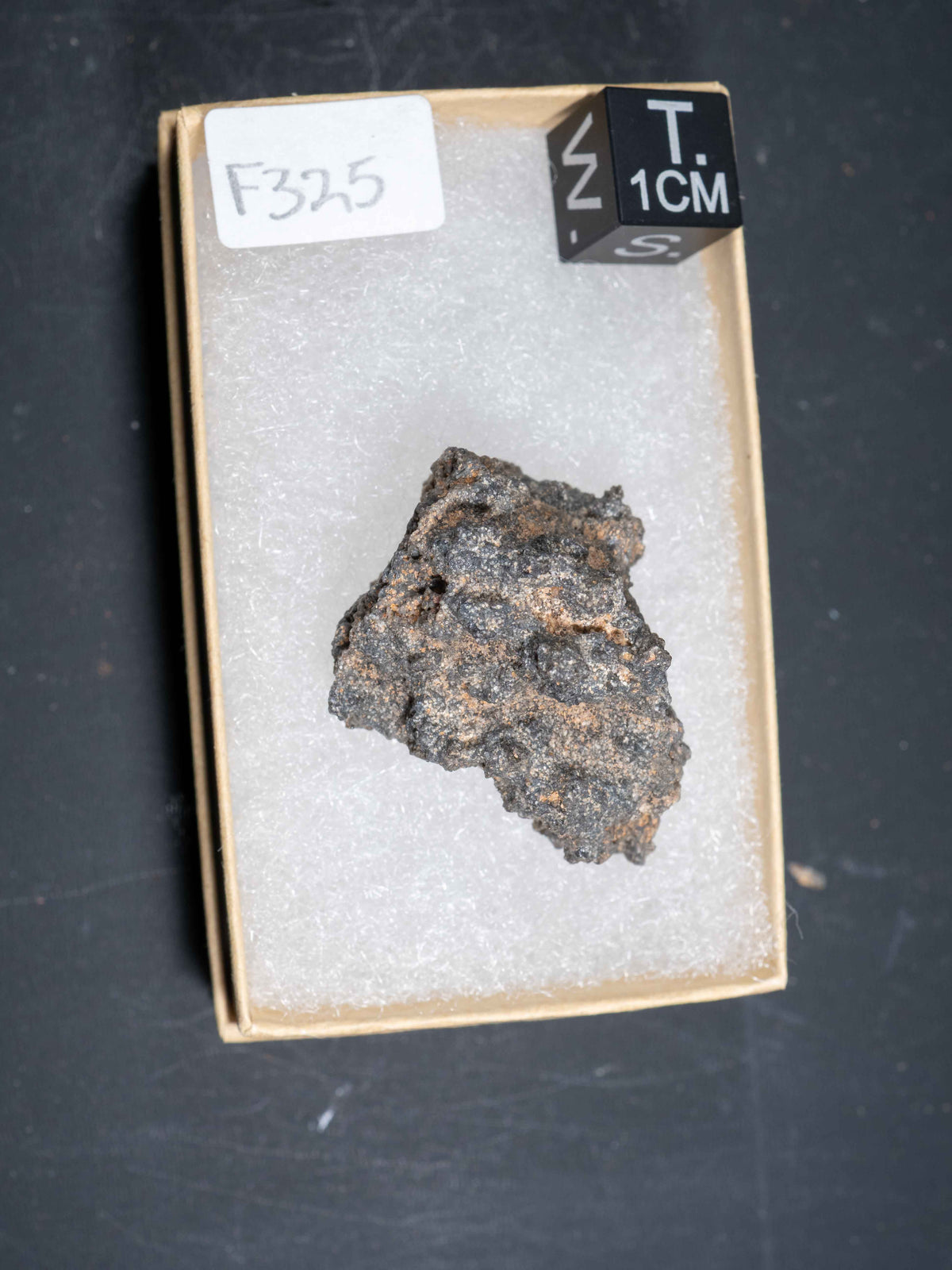 Fulgurite - Sahara Desert, Northern Africa