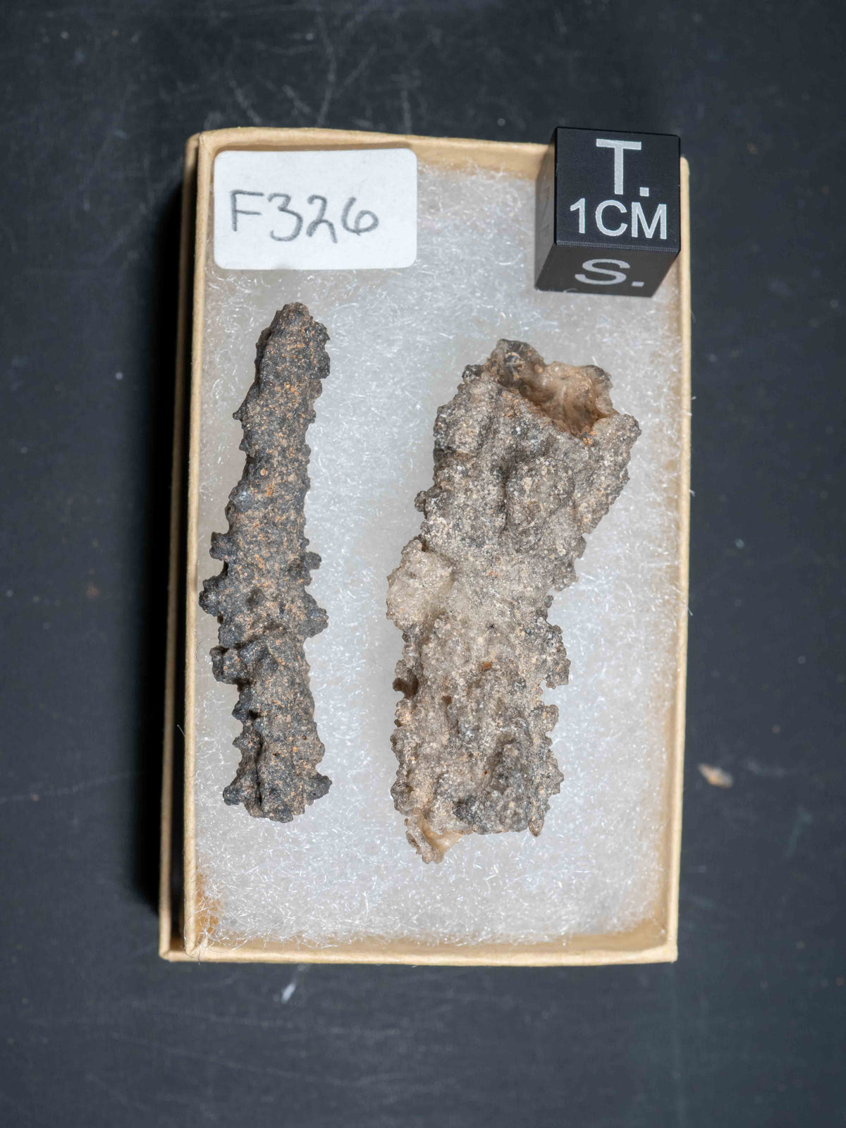 Fulgurite - Sahara Desert, Northern Africa