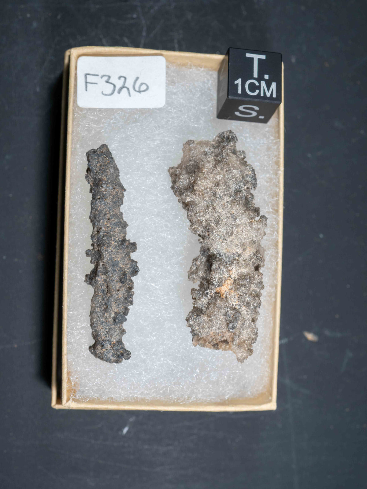 Fulgurite - Sahara Desert, Northern Africa