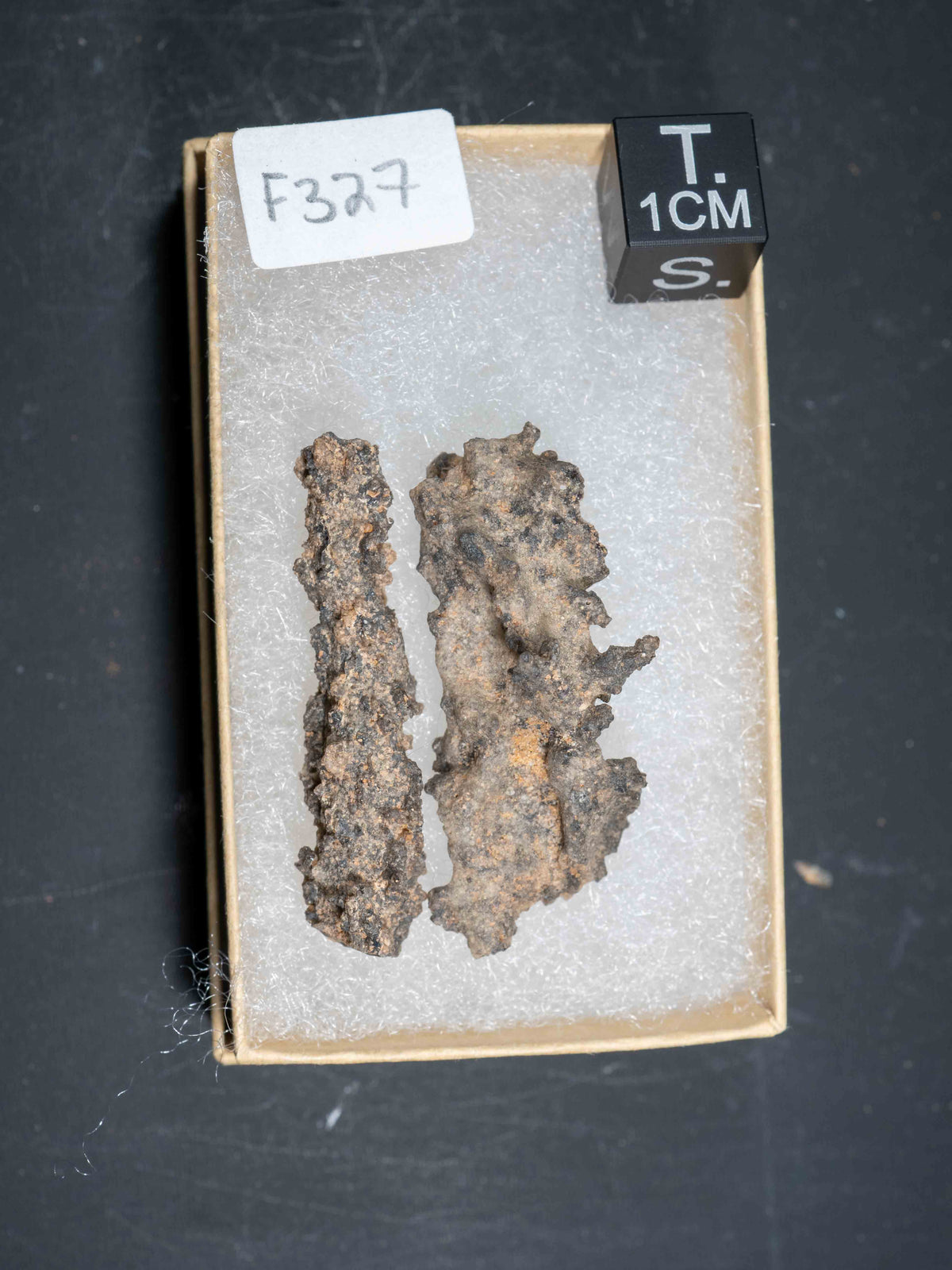 Fulgurite - Sahara Desert, Northern Africa